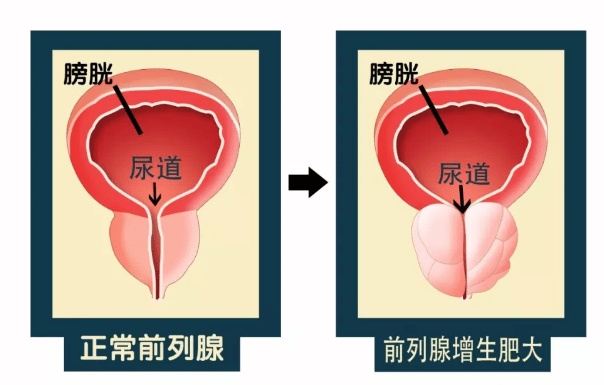4821ab1bf9c5477ab2f8c79d9fb68faa.png