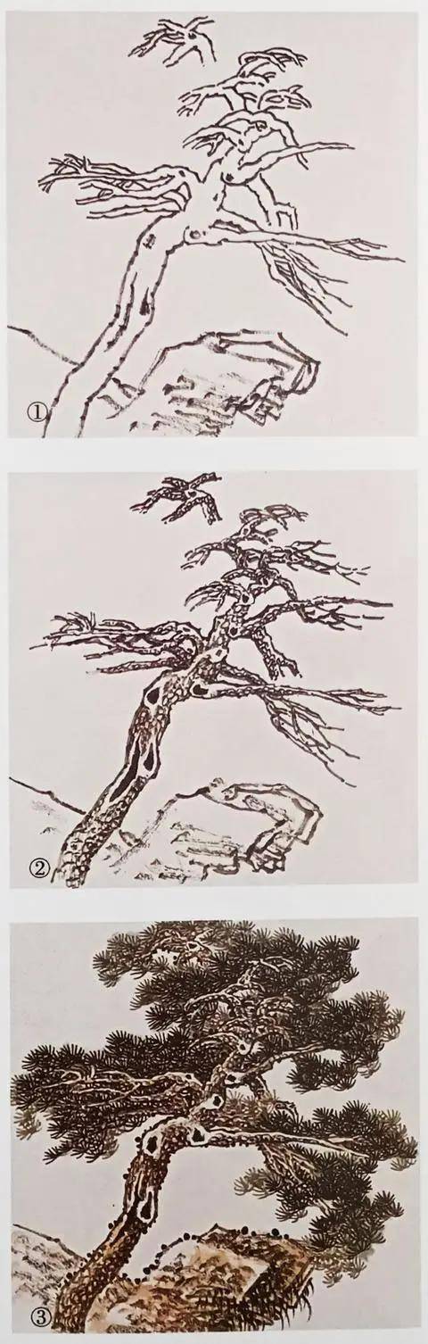 国画技法松树的各种画法图解