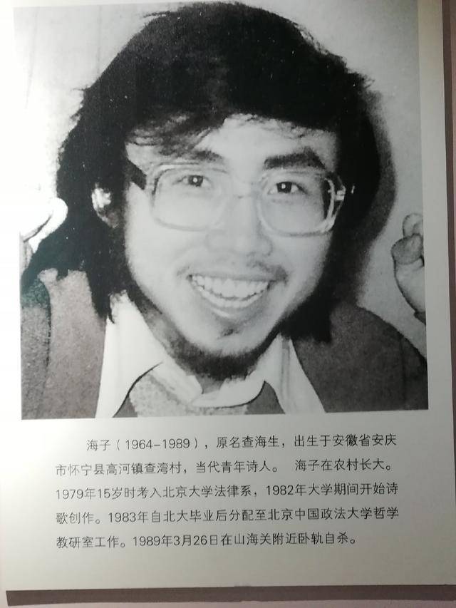 诗人口头禅_贾冰口头禅漂亮表情包