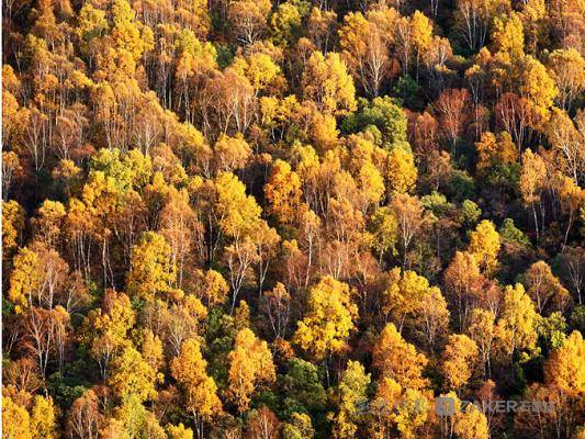 假期周边游之平山：金秋去平山赏五彩太行_桂山
