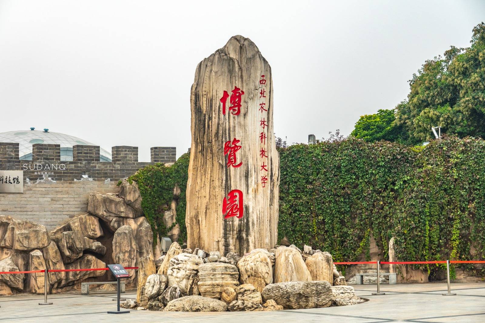 剔红|流落民间的宫廷御用之物:清乾隆剔红大宝座,专家估价3600万