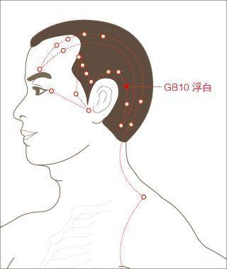 白发增多？那就刮浮白穴