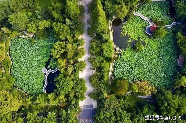 2020安徽高考分数线_2020年安徽高考录取人数