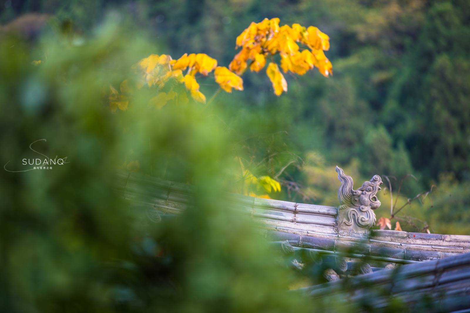 秦岭|秦岭为何被尊为“中华龙脉”：走进世界最大植物园，大自然之敬畏