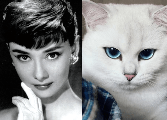 美少女|吊打鞠婧祎的真·四千年美少女，这方脸却甜到极致的美貌是开挂了吧！