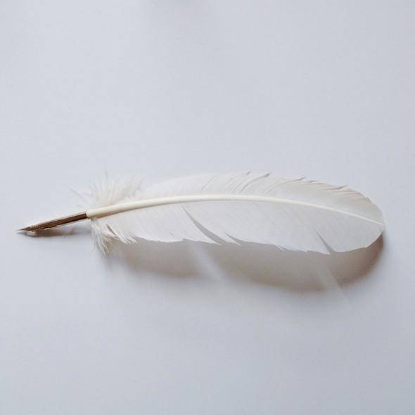 治愈|丢掉手机！看看纸笔带来的治愈，说不定还能为你的工作添灯加油