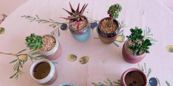 多肉小花盆手绘图 45d7d1795280475282f0fea5d69eafe5.jpeg