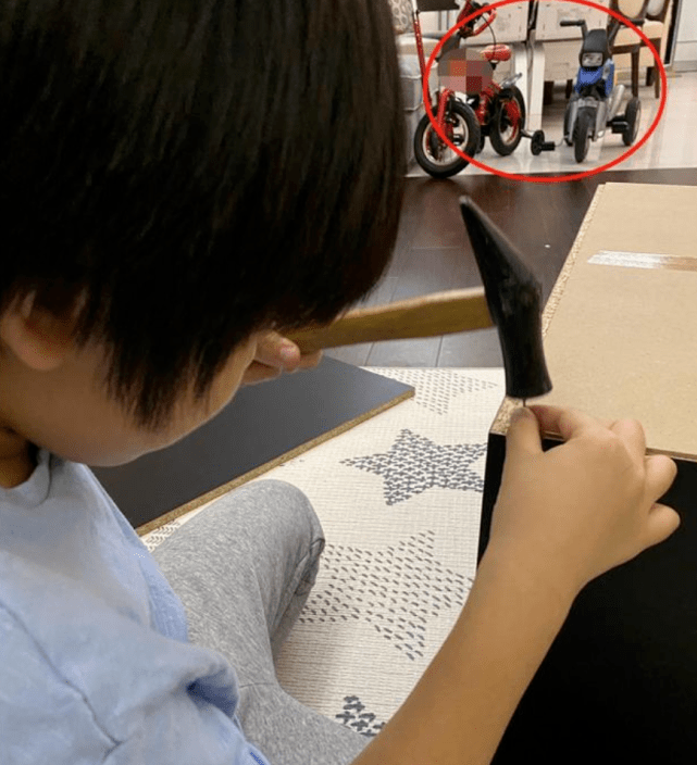 林志颖|俩娃身高遗传妈妈，颜值超高比哥哥像林志颖陈若仪晒双胞胎健身
