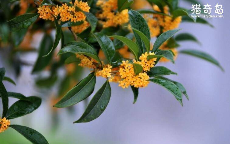 edbc6dc098a2431eb76eac313ab5cbc1.jpeg