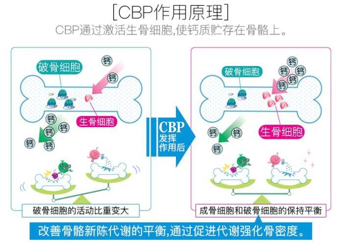 骨骼|儿童奶粉为孩子长高加骨劲 关键是CBP初乳碱性蛋白