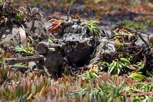 味道|狙击手为啥要带口香糖？这颗糖味道特别，你吃不下去战场上