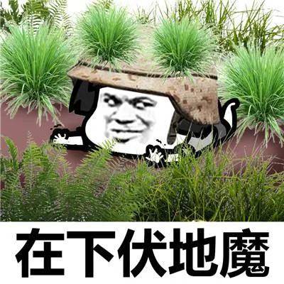 微信斗图表情包和平精英吃鸡表情包大全