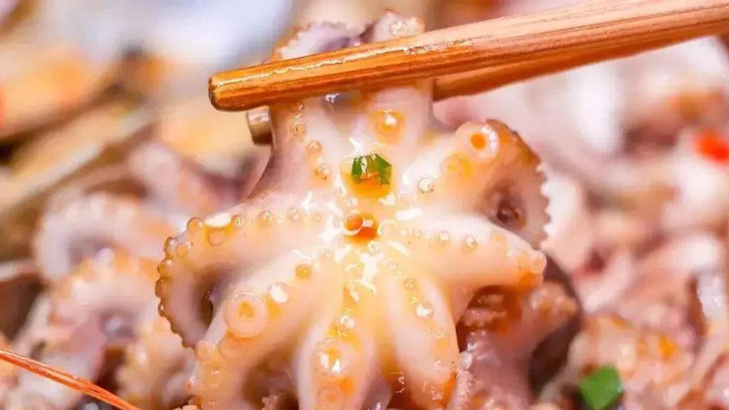 老渔民教你2种辨别章鱼雌雄的方法!