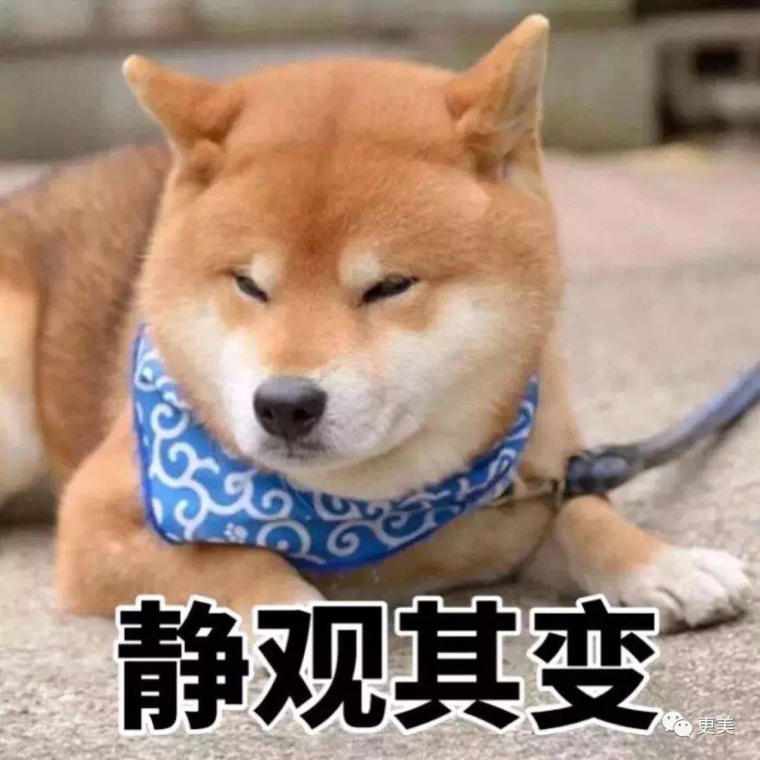 杨怡|曾经tvb一姐，演技一流，也把自己整僵了，假体太明显了...