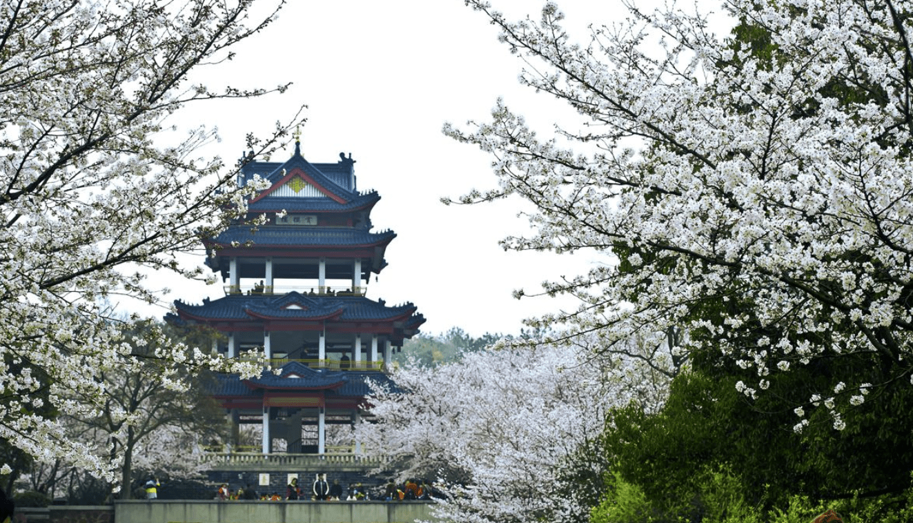 桃源县的gdp为什么这么高(3)