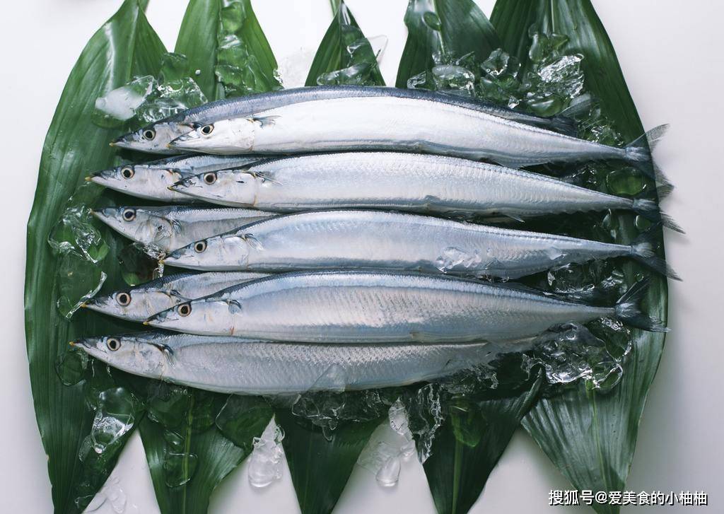 这种鱼在日本家家户户都吃，被称为“脑黄金”，我国却很少有人吃_手机搜狐网