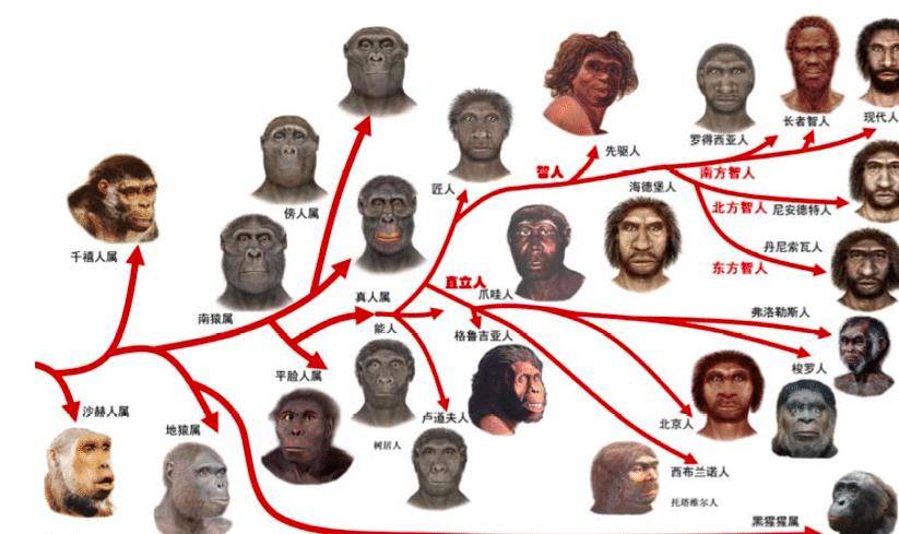 为什么说一万年前的人类和现代人没什么不同,又有很大