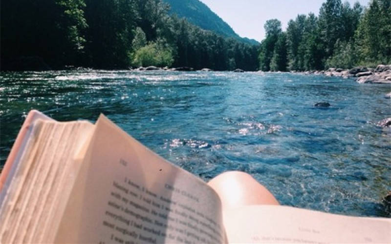 品味生活诗意视频 9136ad8ff66b4b63946ccbb997cb6fe0.jpeg