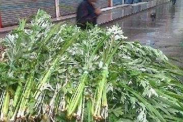 艾草干叶 b62d4094cd21410d8f924acc0c7d89a9.jpeg