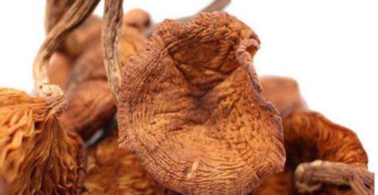 食物进食后多久排出 528416043ab74fd085c41e41902c11d6.jpeg