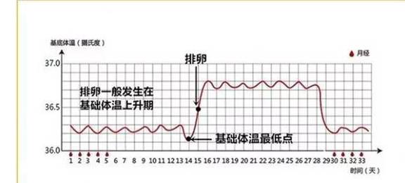 排卵试纸什么原理_排卵试纸