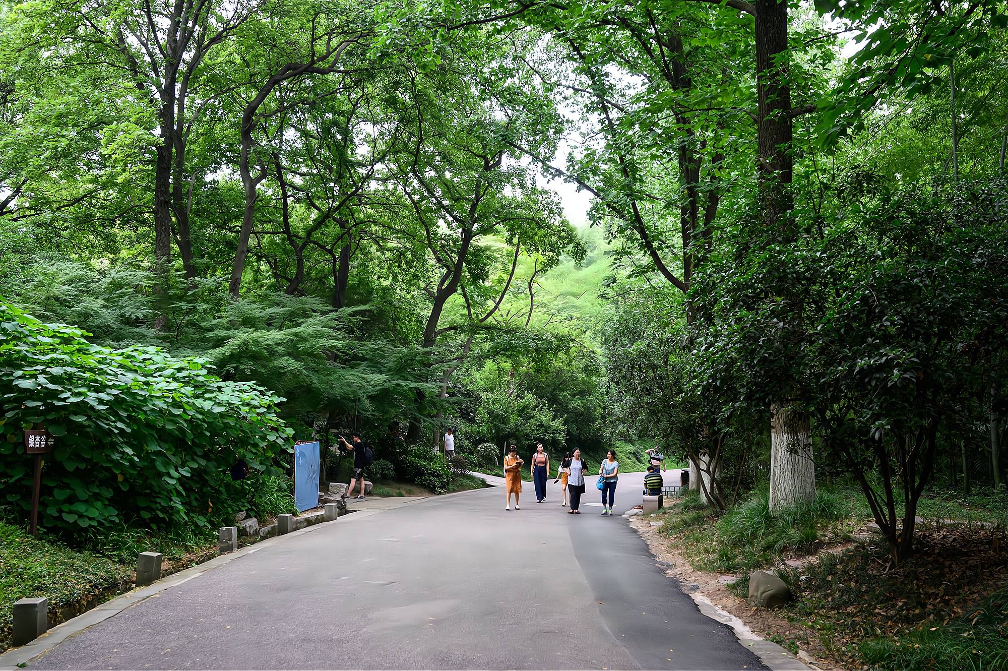 南京清凉山公园,一座藏于喧嚣闹市中的城市山林,门票免费_手机搜狐网