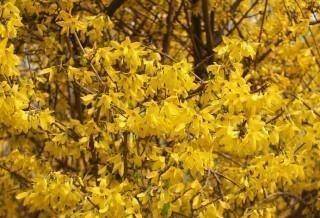 2020秦皇岛小学排名_2020年高考,秦皇岛学校眼前一亮,成绩再创新高