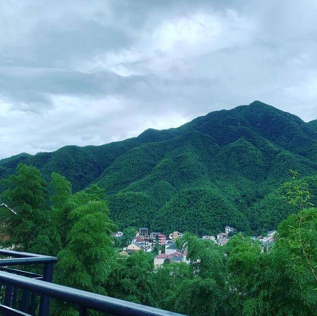 江浙|妈耶~夏天怎么可以不去安吉？