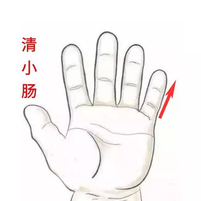 位置|宝宝可能不是饿了，而是消化不良的表现！——湘曦源肚子咕咕响