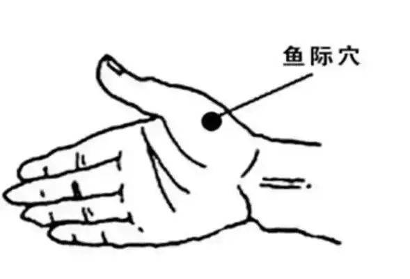 14a0828c47fb4ff6a577165107c28554.jpeg