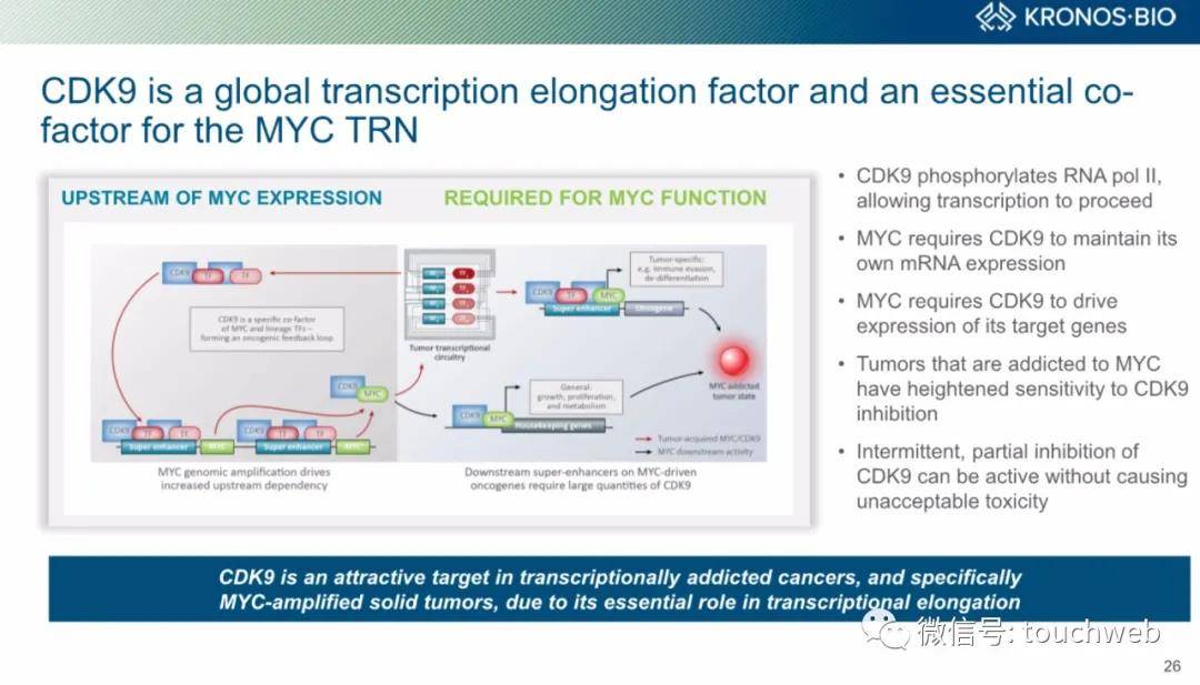 Funds|生物制药公司Kronos上市：涨42% 市值15亿美元