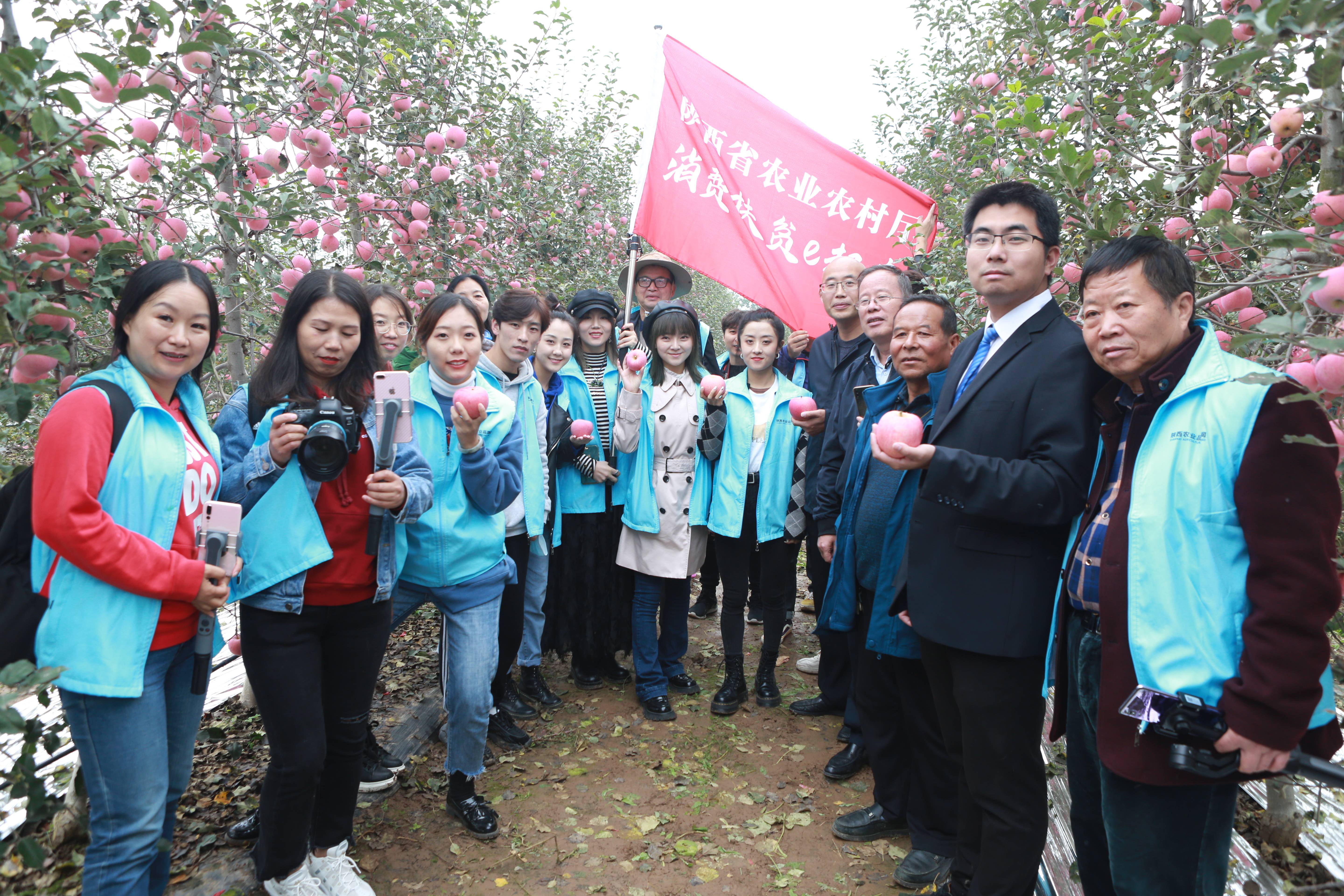 百花村|消费扶贫e起来走进宝鸡千阳 探访苹果产业发展千阳模式