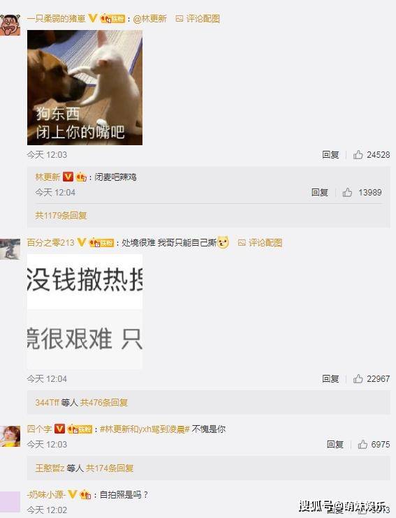 林更新否认出演《默读》，曾回复粉丝：处境很