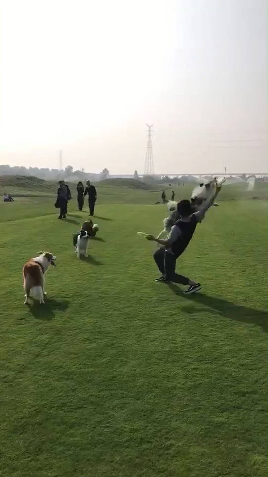 f40966819a2449179f4c2f5aa866bfda.jpeg