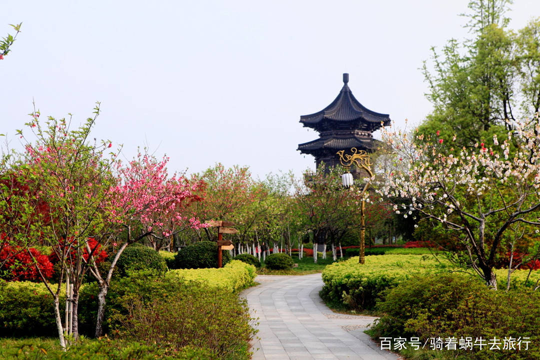 江苏省城市经济排名_江苏省工业经济效益-江苏省光伏协会