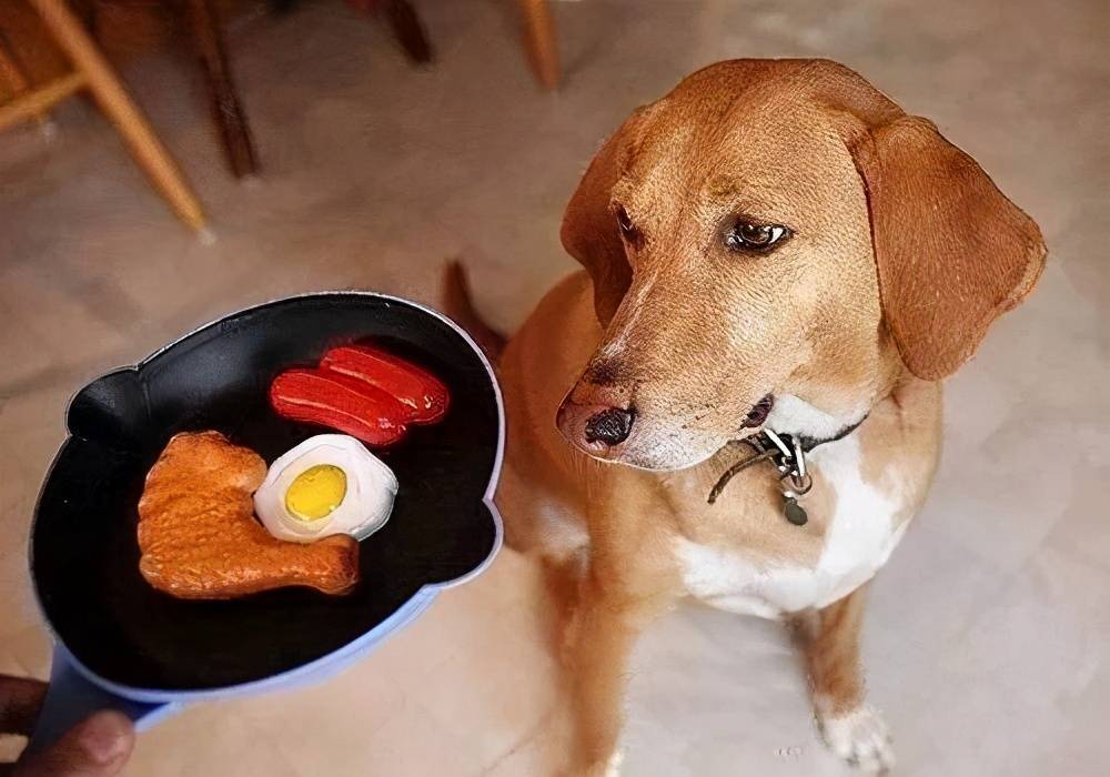 f883d5b5973d41c0bc201cf3f0e2d81d.jpeg