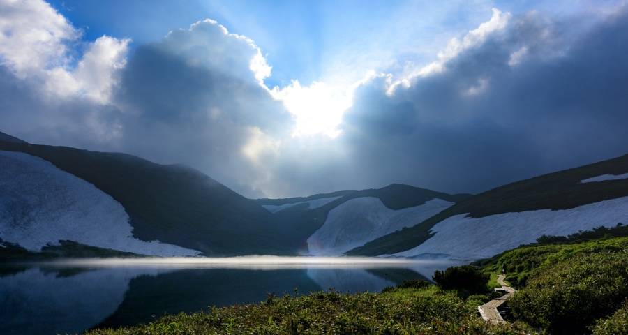 双十一家电市场就一定能火吗?-家电圈官网