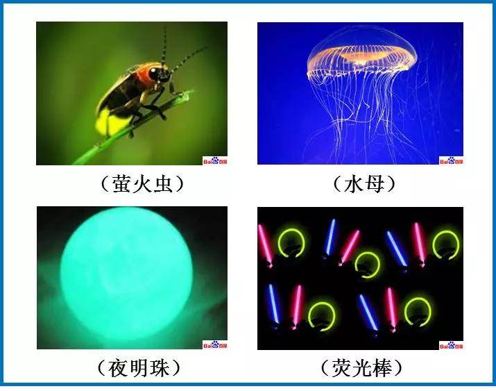 生活中的荧光现象(图片来源:百度图片)