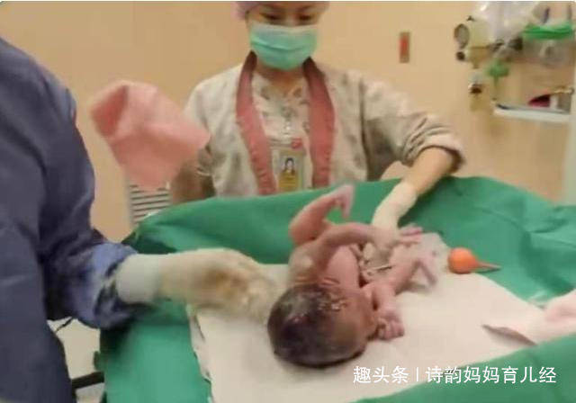 宝宝|被抱走的10分钟内都经历了啥？原来是去“洗剪吹”宝宝出生后