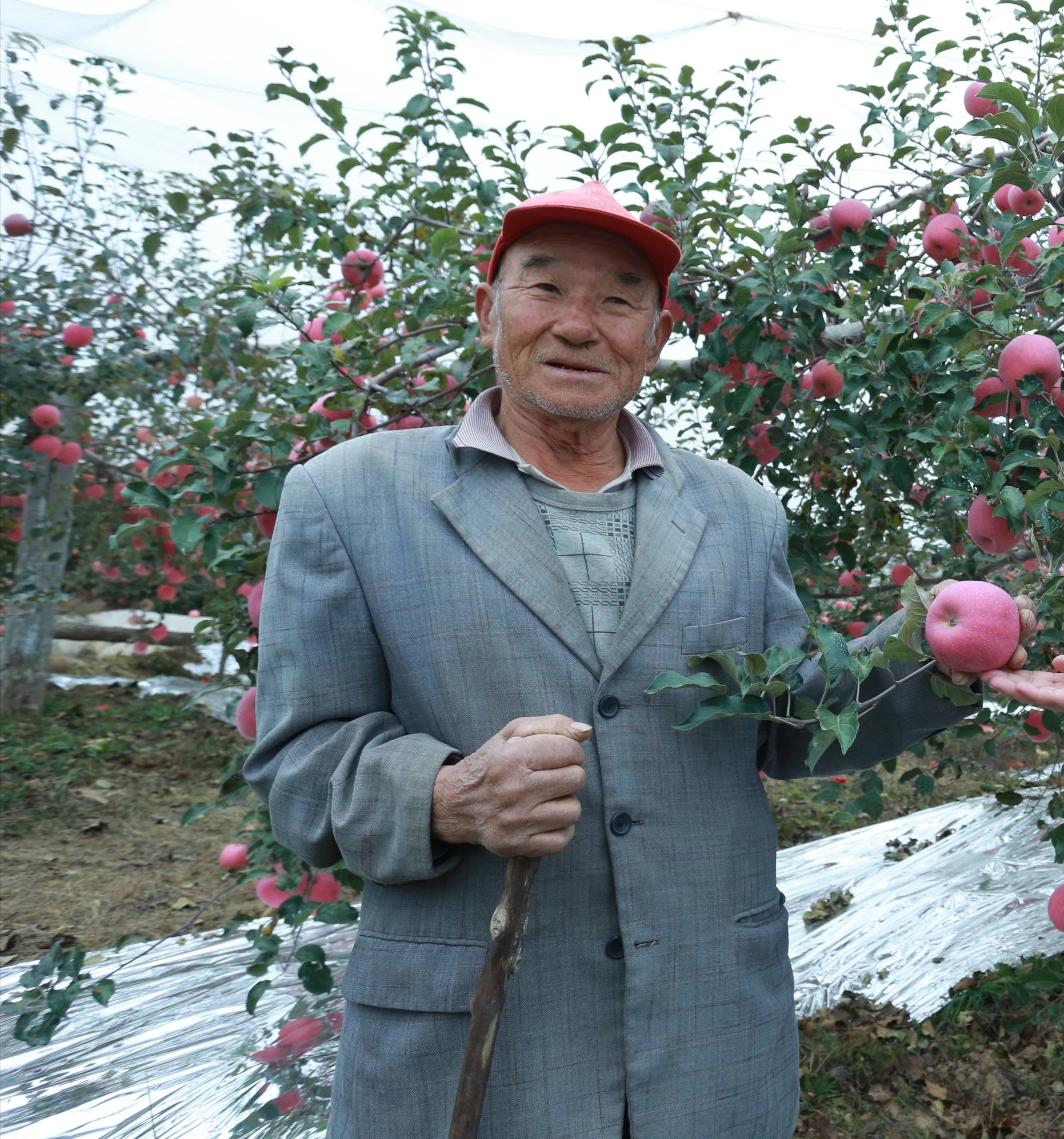 陕西果业|“延安有我一棵苹果树”当个快乐的都市农夫，你愿意认领吗？