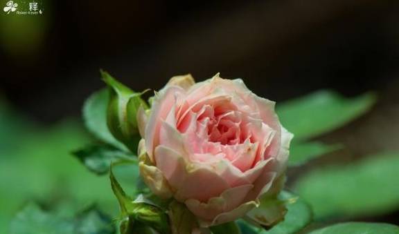73dad27d3ab64aa490566d45e06f09b8.jpeg