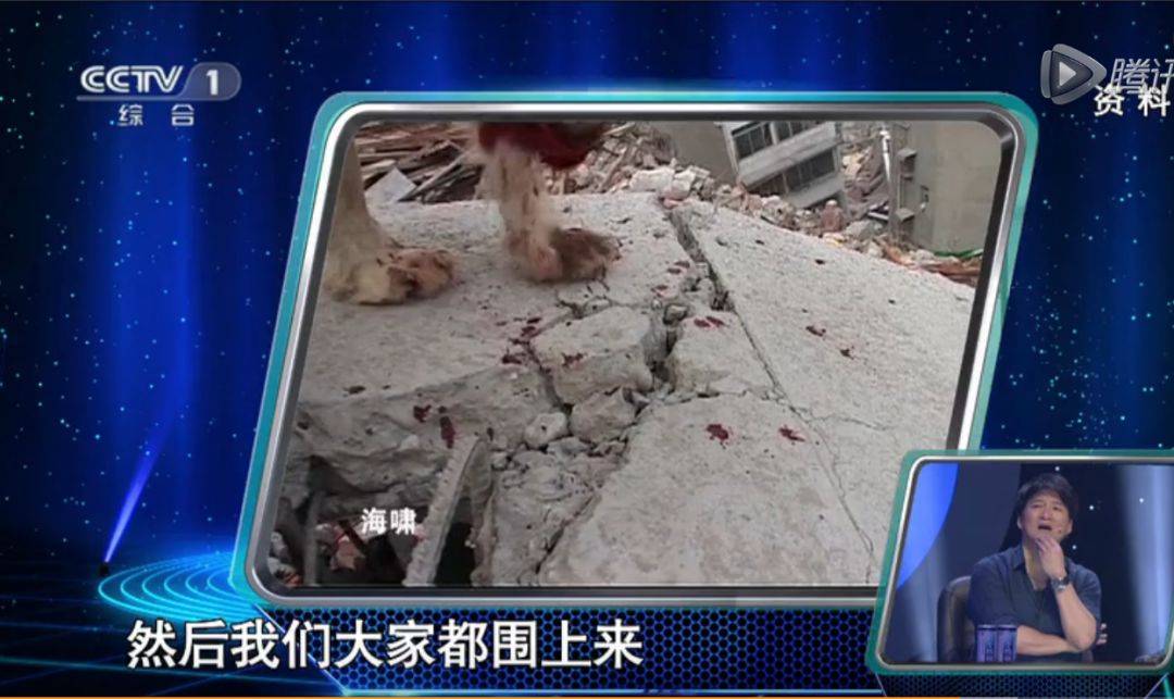 至今为止，它是汶川地震唯一仅存的搜救英雄犬