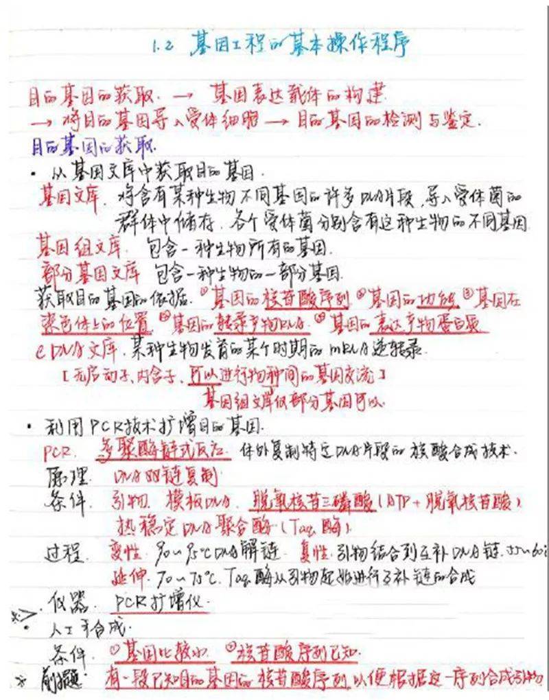 807ce6b9a7034ce3b41ab6b62f622465.jpeg