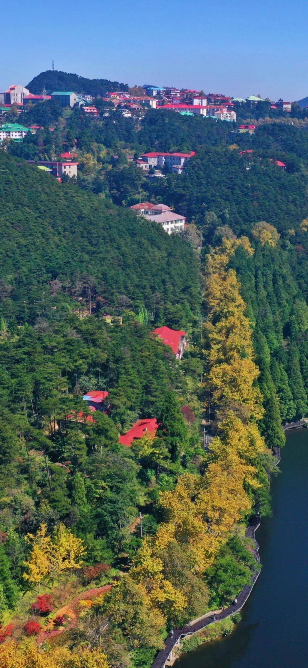 庐山秋景别样美