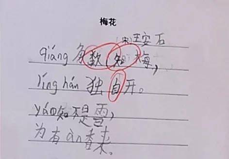 成语文什么学什么_语文手抄报(2)