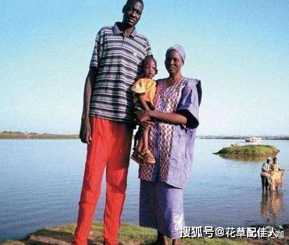 世界上的巨人身高 552501dbcdf0493aa4b4652b2b1f2ffd.jpeg
