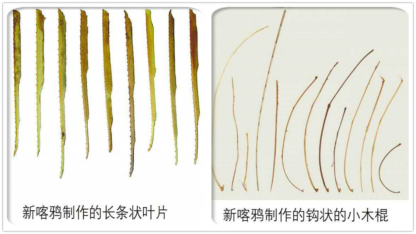 什么是隐匿物 597a16d7f787454aaf31111eb927628e.jpeg