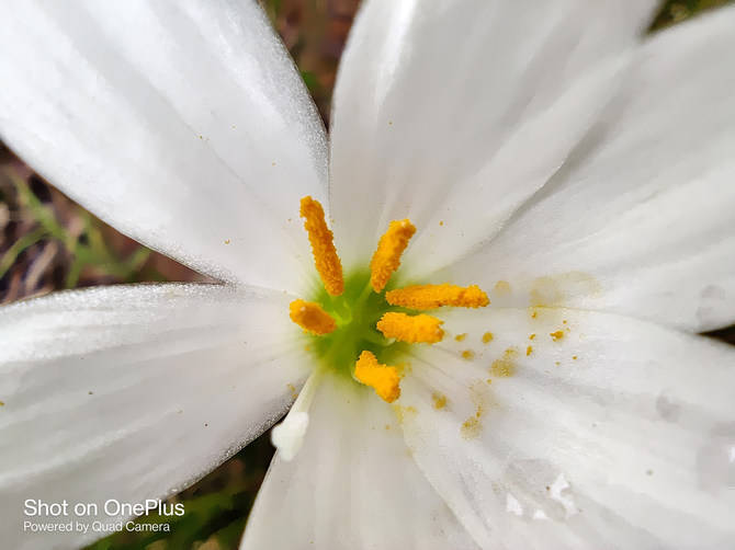 真香|一加 8T详细评测：3399元的真香屏幕超旗舰