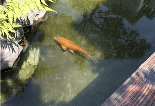 锦鲤水浑浊怎么办