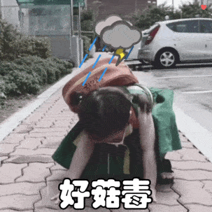 【搞笑表情包小师妹宣】 返回搜